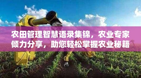 農(nóng)田管理智慧語錄集錦，農(nóng)業(yè)專家傾力分享，助您輕松掌握農(nóng)業(yè)秘籍！