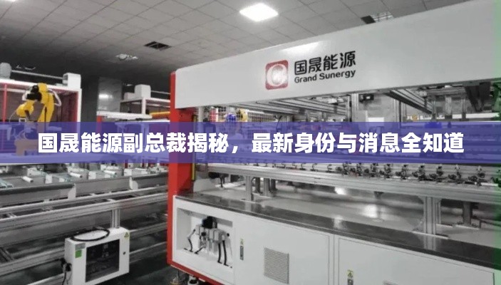 國(guó)晟能源副總裁揭秘，最新身份與消息全知道