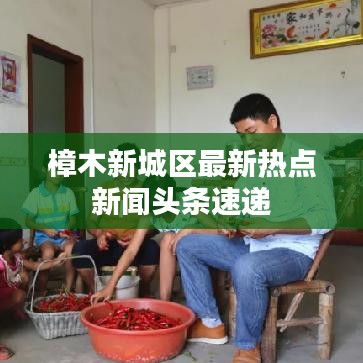 樟木新城區(qū)最新熱點(diǎn)新聞?lì)^條速遞