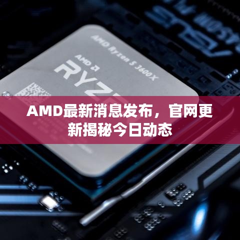 AMD最新消息發(fā)布，官網(wǎng)更新揭秘今日動態(tài)