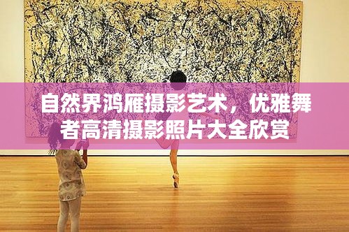自然界鴻雁攝影藝術(shù)，優(yōu)雅舞者高清攝影照片大全欣賞