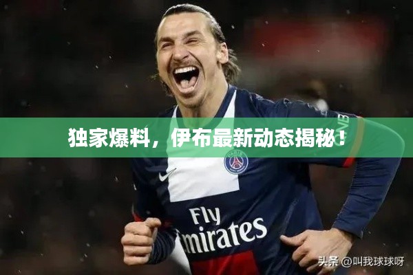 獨(dú)家爆料，伊布最新動(dòng)態(tài)揭秘！