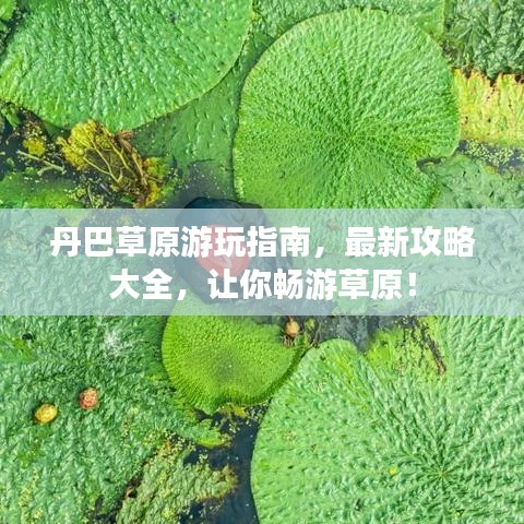 丹巴草原游玩指南，最新攻略大全，讓你暢游草原！