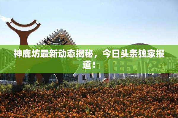 神鹿坊最新動(dòng)態(tài)揭秘，今日頭條獨(dú)家報(bào)道！