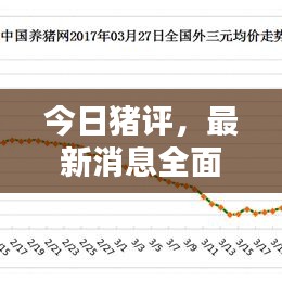 今日豬評(píng)，最新消息全面解析