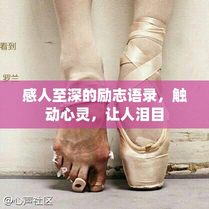感人至深的勵(lì)志語(yǔ)錄，觸動(dòng)心靈，讓人淚目