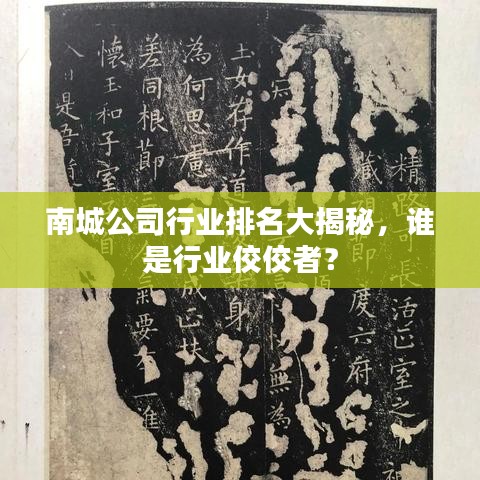 南城公司行業(yè)排名大揭秘，誰(shuí)是行業(yè)佼佼者？