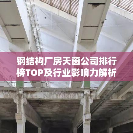 鋼結(jié)構(gòu)廠房天窗公司排行榜TOP及行業(yè)影響力解析