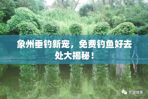 象州垂釣新寵，免費釣魚好去處大揭秘！