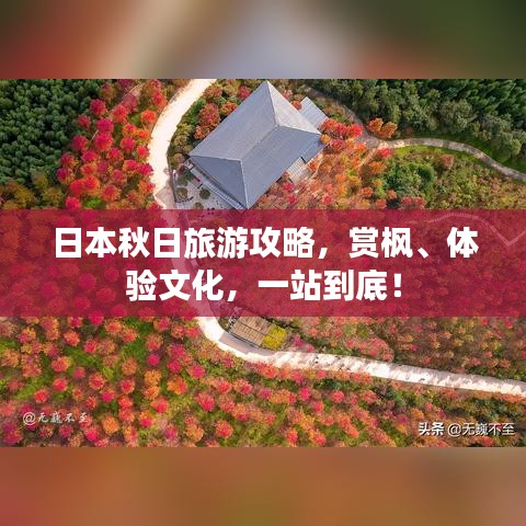 日本秋日旅游攻略，賞楓、體驗(yàn)文化，一站到底！