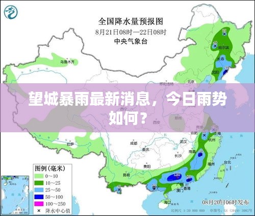 望城暴雨最新消息，今日雨勢如何？
