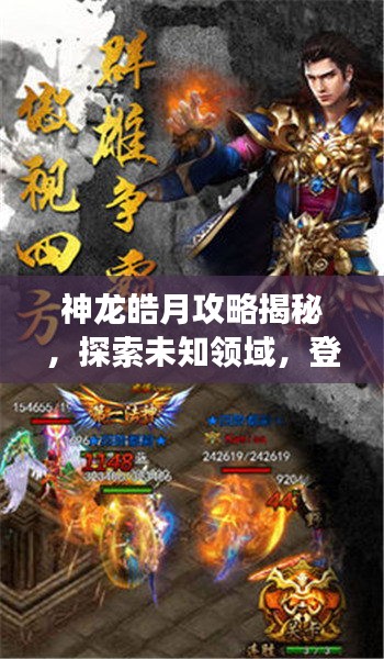 神龍皓月攻略揭秘，探索未知領(lǐng)域，登頂游戲巔峰