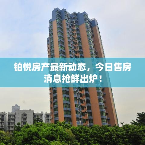 鉑悅房產(chǎn)最新動態(tài)，今日售房消息搶鮮出爐！