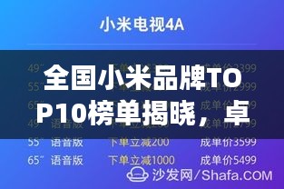 全國(guó)小米品牌TOP10榜單揭曉，卓越成就與未來(lái)展望