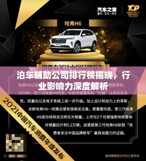 泊車輔助公司排行榜揭曉，行業(yè)影響力深度解析