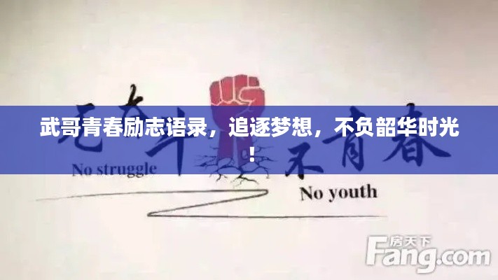 武哥青春勵志語錄，追逐夢想，不負韶華時光！