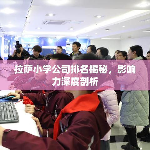 拉薩小學(xué)公司排名揭秘，影響力深度剖析