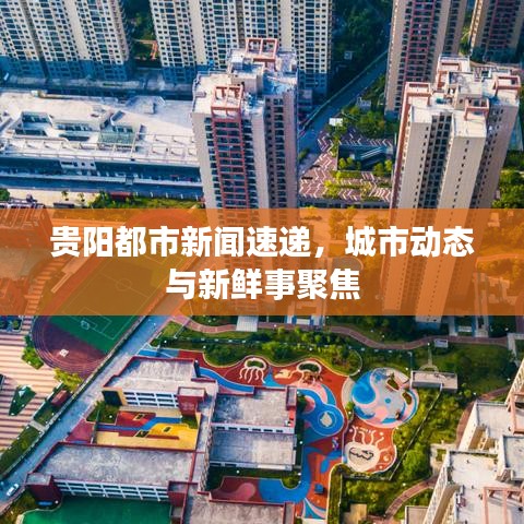 貴陽都市新聞速遞，城市動態(tài)與新鮮事聚焦