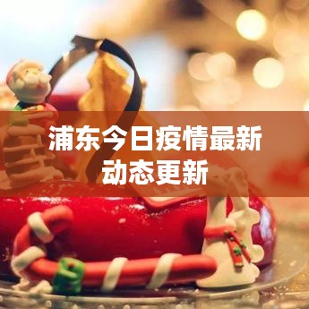 浦東今日疫情最新動(dòng)態(tài)更新