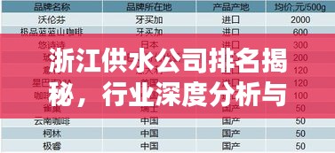 浙江供水公司排名揭秘，行業(yè)深度分析與評估