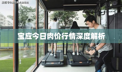 寶應(yīng)今日肉價行情深度解析