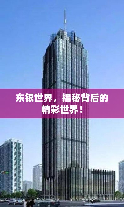 東銀世界，揭秘背后的精彩世界！