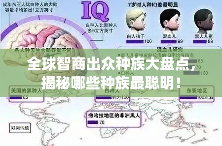 全球智商出眾種族大盤點(diǎn)，揭秘哪些種族最聰明！
