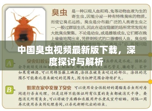 中國臭蟲視頻最新版下載，深度探討與解析