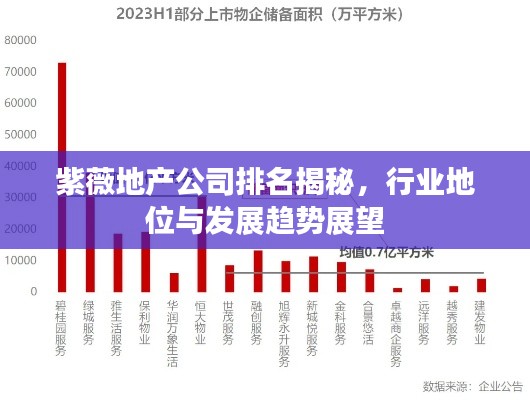 紫薇地產(chǎn)公司排名揭秘，行業(yè)地位與發(fā)展趨勢展望