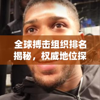 全球搏擊組織排名揭秘，權(quán)威地位探究