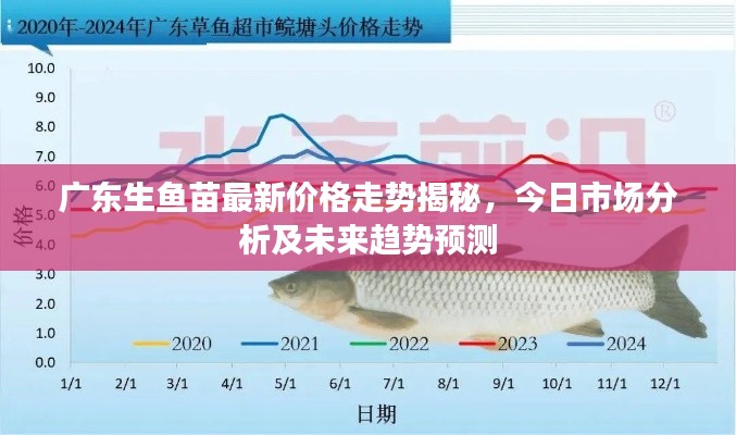 落落大方 第2頁