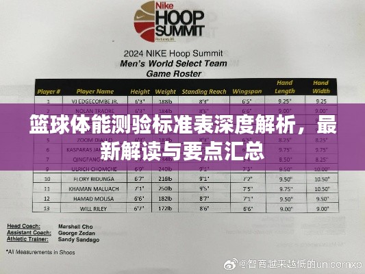 籃球體能測(cè)驗(yàn)標(biāo)準(zhǔn)表深度解析，最新解讀與要點(diǎn)匯總