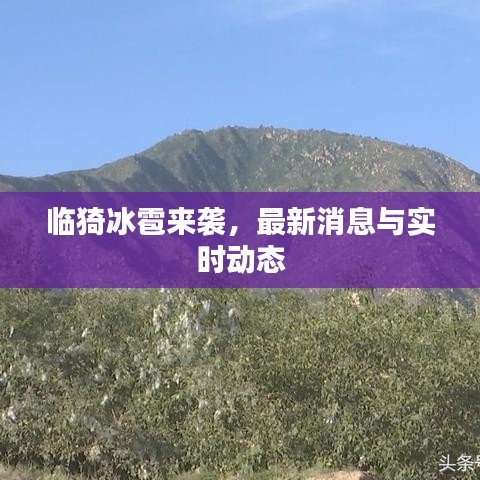 臨猗冰雹來襲，最新消息與實(shí)時(shí)動(dòng)態(tài)