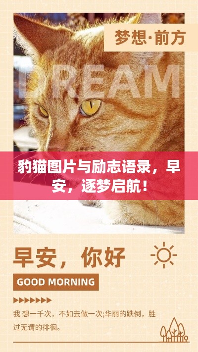 豹貓圖片與勵(lì)志語(yǔ)錄，早安，逐夢(mèng)啟航！