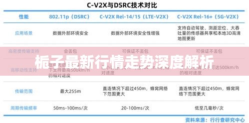 梔子最新行情走勢深度解析