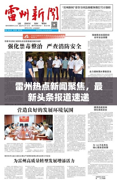 雷州熱點新聞聚焦，最新頭條報道速遞
