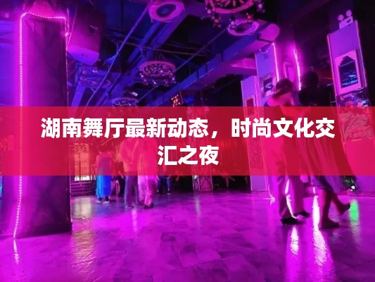 湖南舞廳最新動態(tài)，時尚文化交匯之夜