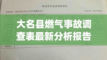 大名縣燃氣事故調(diào)查表最新分析報告揭秘