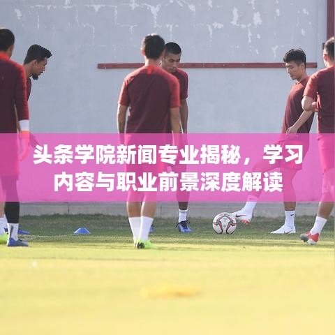 頭條學院新聞專業(yè)揭秘，學習內(nèi)容與職業(yè)前景深度解讀