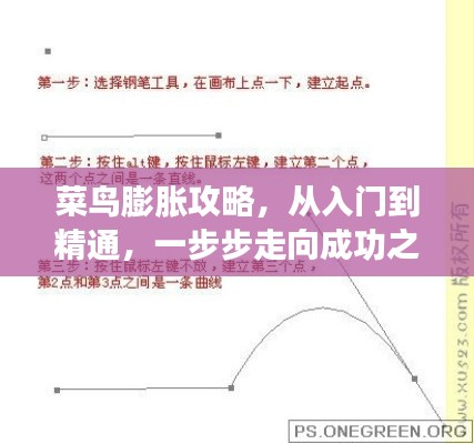 菜鳥(niǎo)膨脹攻略，從入門到精通，一步步走向成功之路！