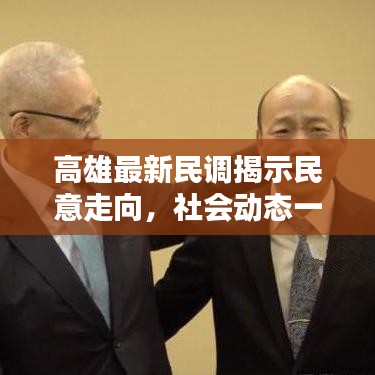 高雄最新民調(diào)揭示民意走向，社會動態(tài)一目了然