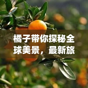 橘子帶你探秘全球美景，最新旅行視頻攻略全解析