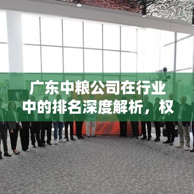 廣東中糧公司在行業(yè)中的排名深度解析，權威排名揭秘！