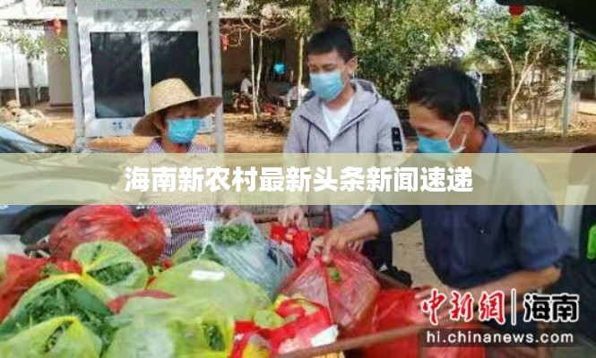 海南新農(nóng)村最新頭條新聞速遞