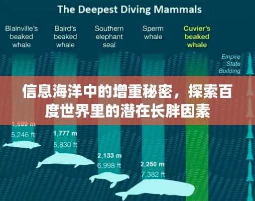 信息海洋中的增重秘密，探索百度世界里的潛在長胖因素