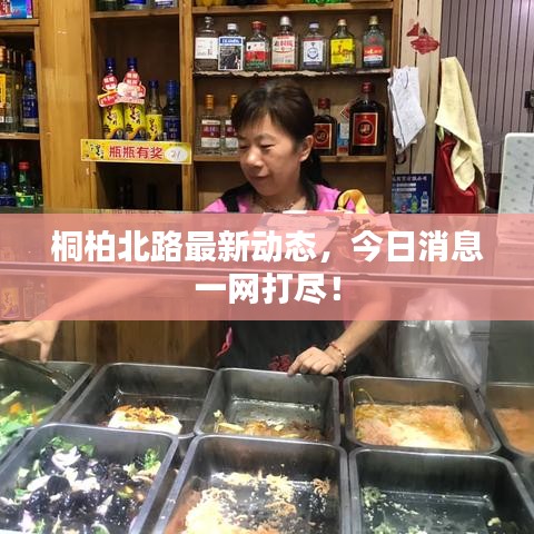 桐柏北路最新動(dòng)態(tài)，今日消息一網(wǎng)打盡！