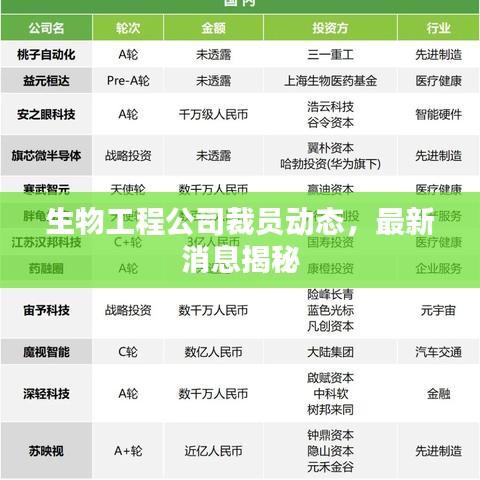 生物工程公司裁員動態(tài)，最新消息揭秘