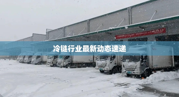 冷鏈行業(yè)最新動(dòng)態(tài)速遞