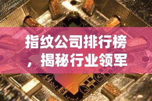 指紋公司排行榜，揭秘行業(yè)領(lǐng)軍者的秘密武器！