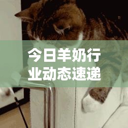 引錐刺股 第2頁